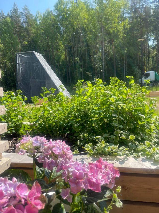 Haalia Homes Turku Paeaeskynpesae 外观 照片