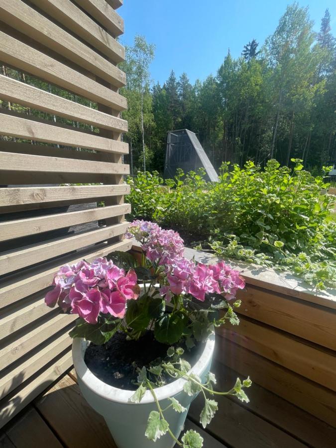 Haalia Homes Turku Paeaeskynpesae 外观 照片